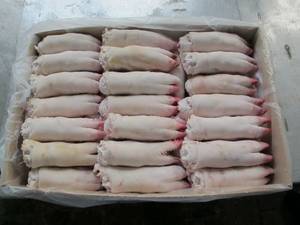 Wholesale bags: Frozen Pork Hind Feet and Pork Feet.