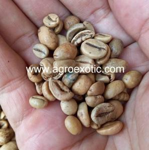 Wholesale coffee beans: Robusta Coffee Beans Grade B