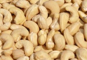 Wholesale nuts kernels: Raw Cashew /Cashew Nuts/ Cashew Kernels