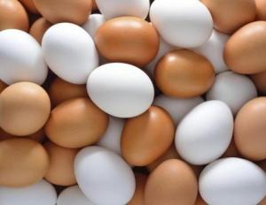 Wholesale Eggs: Fresh Chicken Eggs