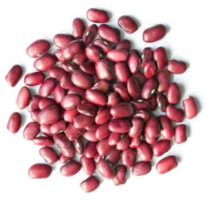 Wholesale Bean Products: Adzuki Beans for More Products/Https://Agrofarmers.Org/WhatsApp:++254 775 107336