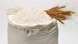 Wholesale wheats: Wheat Flour