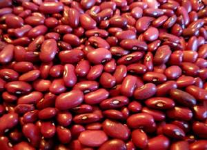 Wholesale Bean Products: Small Red Kidney Beans