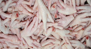 Wholesale korea: Processed Grade (A) Frozen Chicken Paws
