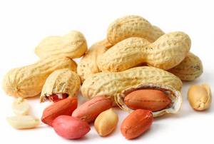 Wholesale chinese peanut: Peanut in Shell
