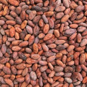 Wholesale sieve: Dried Raw Cocoa Beans Whatsapp..+237657028176