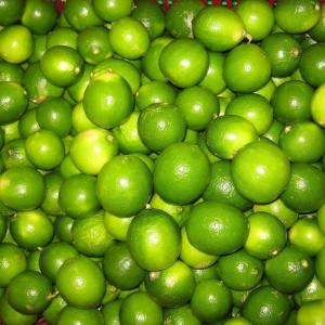 Wholesale Citrus Fruit: Fresh Seedless Lime/Green Lemon Fruit Without Seed Whatsapp..+237657028176