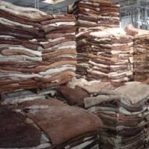 Wholesale wet salted donkey hides: General Goat,Cattle,Donkey Hides Whatsapp..+237657028176