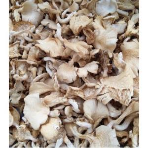 Wholesale korea: Buy Dried Mushroom From Cameroon Whatsapp..+237657028176