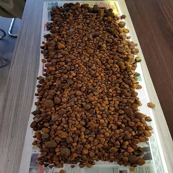 Ox Gallstones,cow Gallstones Whatsapp..+237657028176(id:11106592 