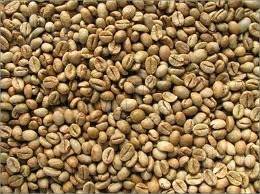 Wholesale coffee beans: Robusta Coffee Beans