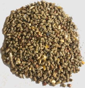 Wholesale Poultry & Livestock: Super Egg Chicken Feed with Whole Grains & Oyster Shell