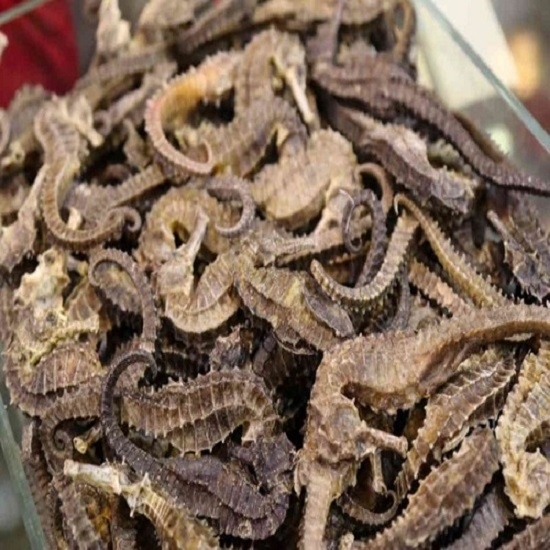 Sell  Dried SeaHorse,Dried Fish Maw,Dried Sea Cucumber