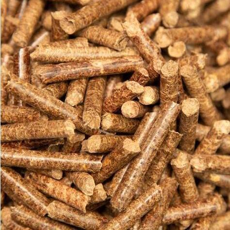 Sell Premium Quality Beech Wood pellet