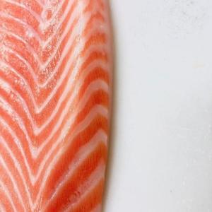 salmon ec21