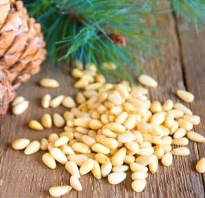 Wholesale pine nut in shell: Attractive High Quality Pine Nuts in Shell