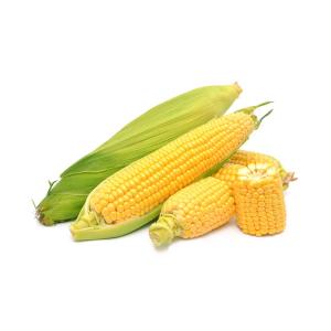 Wholesale sweet corn: Malasyia  Sweet Corn Seeds