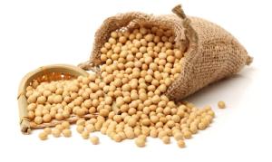 Wholesale organic acid: High Quality Food Organic Soybean