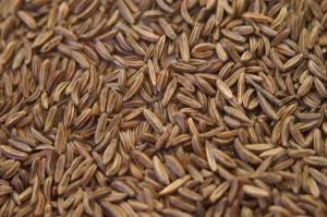Wholesale Spices & Herbs: Caraway