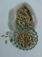 Sell cardamom, green cardamom pods suppliers, Growers, Spice Exporters