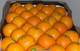 Sell Fresh Oranges Navel, Valencia, Navel