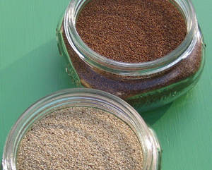 Wholesale iron: Teff Flour, Teff Grain,  Oats, Quinoa, Millet, Spelt, Bulgur, Barley, Sorghum Suppliers