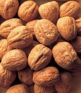 Wholesale Walnuts: walnuts,Betel Nuts,Cashew Nuts,Almond Nuts,Macadamia Nuts,