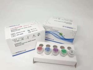 Wholesale 2019 novel coronavirus: Coronavirus Detection Kit