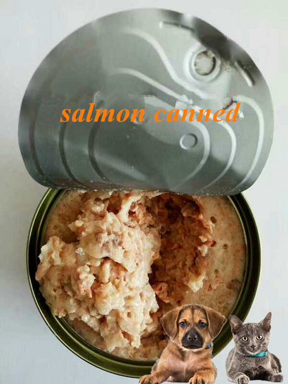 High Protein Delicious Dog Cat Canned Food image