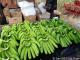Sell Fresh G9 Cavendish Banana From India