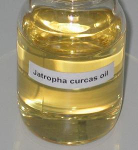 Wholesale Jatropha Seeds: Jatropha Oil