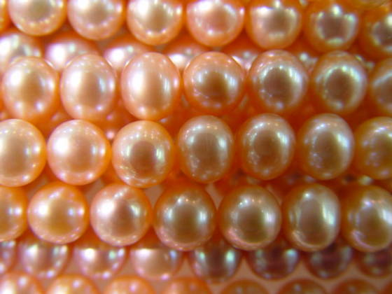 Freshwater pearl wholesale