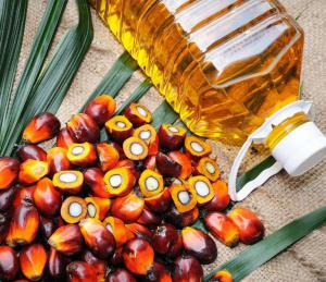 Wholesale confectionery: RBD Palm Olein CP10 (Indonesia Refined Palm Oil)
