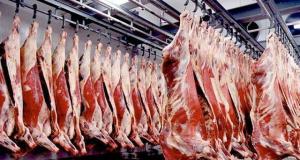 Wholesale offals beef: Meat