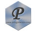 Pengpai (DongGuan) Hardware Co.,Ltd. Company Logo