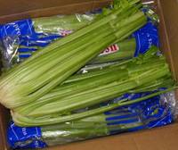 Sell Celery