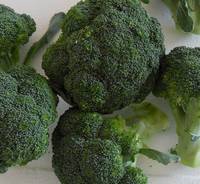 Sell Fresh Broccoli
