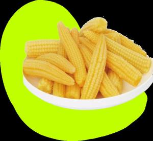 Wholesale canned baby corn: Canned Corn / Baby Corn