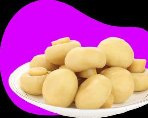 Wholesale canned mushroom: Canned Mushrooms