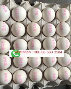 Wholesale Dairy: Fresh White Chicken Table Eggs