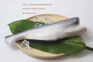 Wholesale steak: Frozen Pangasius Fish in Whole / Basa Fish in Whole