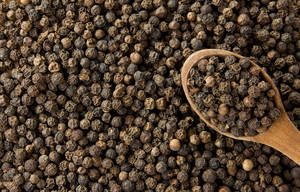 Wholesale seasoned: Black Pepper for Export