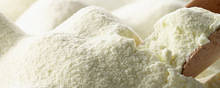 Wholesale Milk Powder: Cream Milk