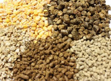 Wholesale soybean meal: Animal Feed