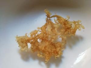 Wholesale Fish & Seafood: Chondrus Crispus Irish Moss Sea Moss From Peru