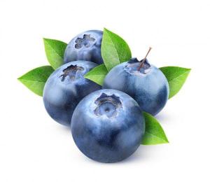 Wholesale fruits: Blueberry Bilberry Huckleberry Fresh Fruits From Peru