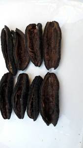 Wholesale label: seacucumber Patallus Mollis Dried From Peru