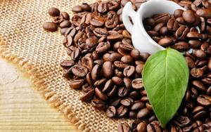 Wholesale coffee: Coffee and Tea Beans