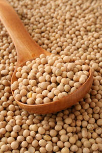 Wholesale Bean Products: Non Gmo Soybeans / Soya Bean