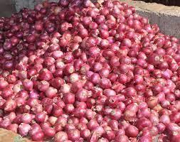 Sell Fresh Red Onion with Top Quality